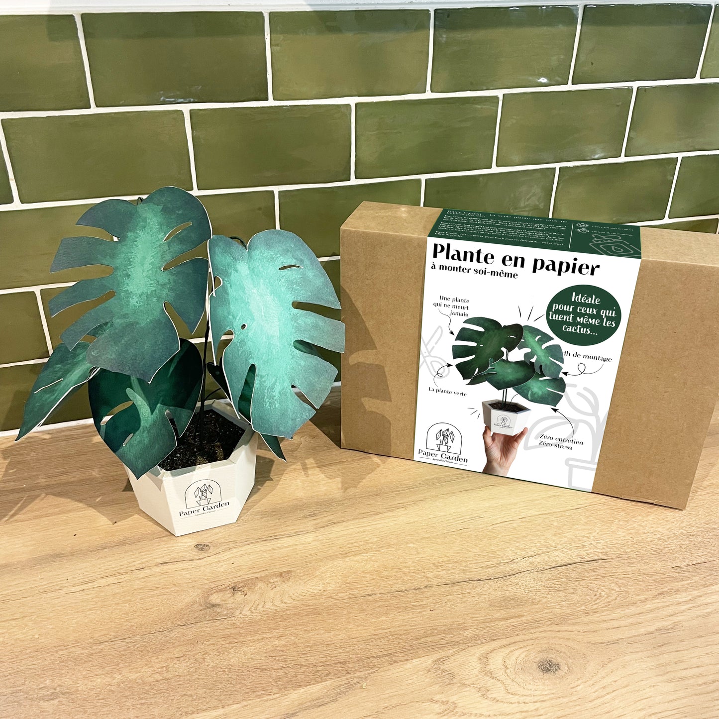 Monstera - kit à monter soi-même