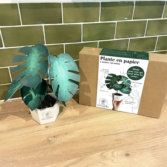 Monstera - kit à monter soi-même