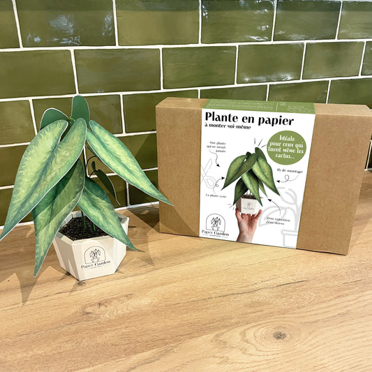 La Plante Verte - kit à monter soi-même