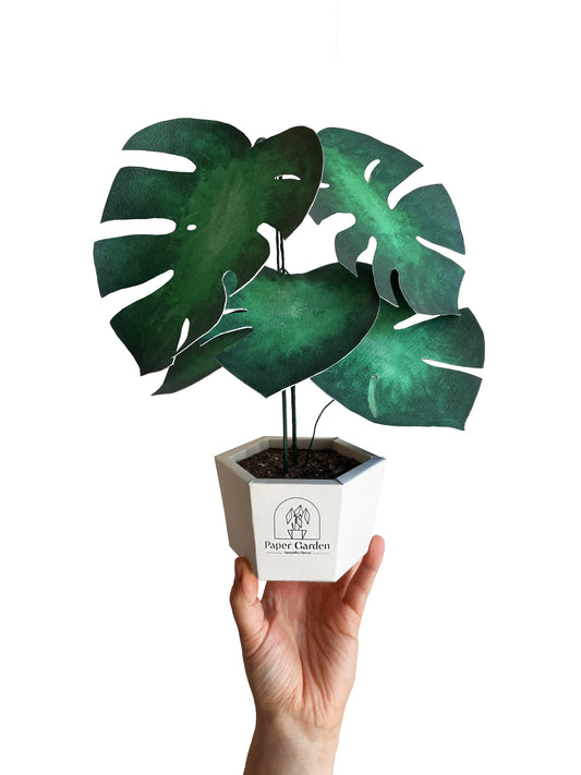 Monstera - kit à monter soi-même