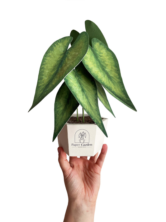 La Plante Verte - kit à monter soi-même